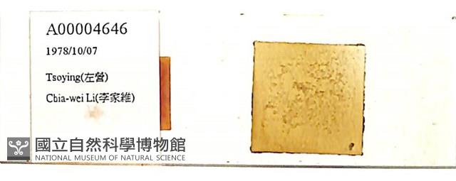 登錄號:A00004646藏品圖，第1張
