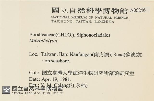 登錄號:A00006246藏品圖，第2張