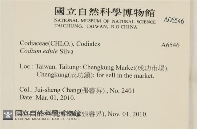 登錄號:A00006546藏品圖，第2張