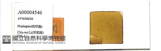 登錄號:A00004546藏品圖，第1張