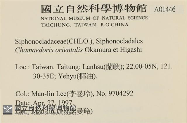 Accession Number:A00001446 Collection Image, Figure 2, Total 3 Figures