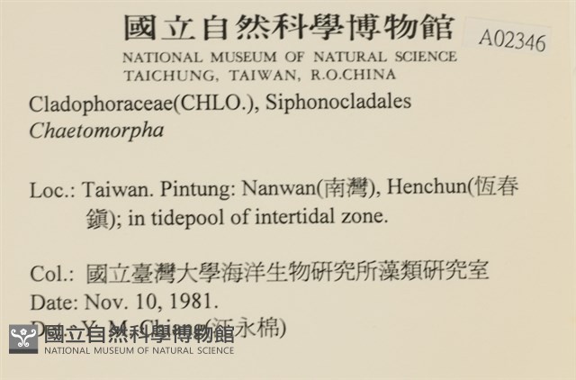 登錄號:A00002346藏品圖，第2張