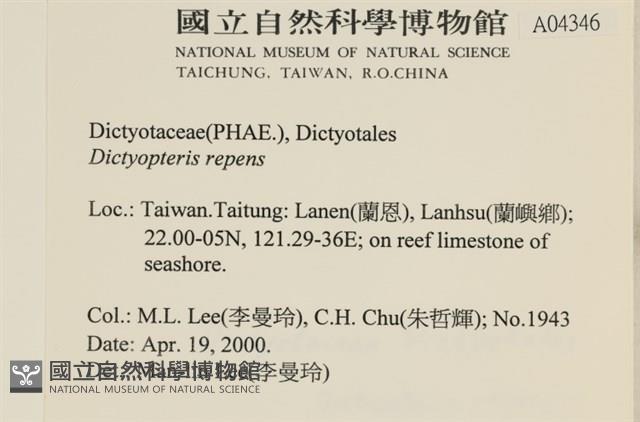 登錄號:A00004346藏品圖，第2張