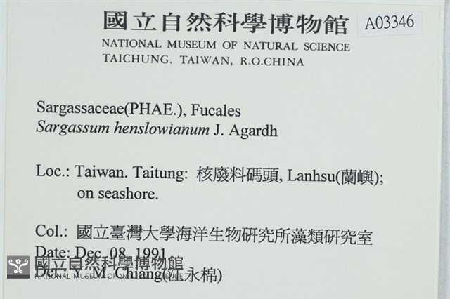 登錄號:A00003346藏品圖，第2張