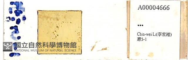 登錄號:A00004666藏品圖，第1張