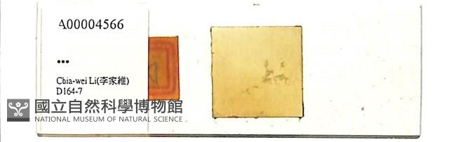 登錄號:A00004566藏品圖，第1張