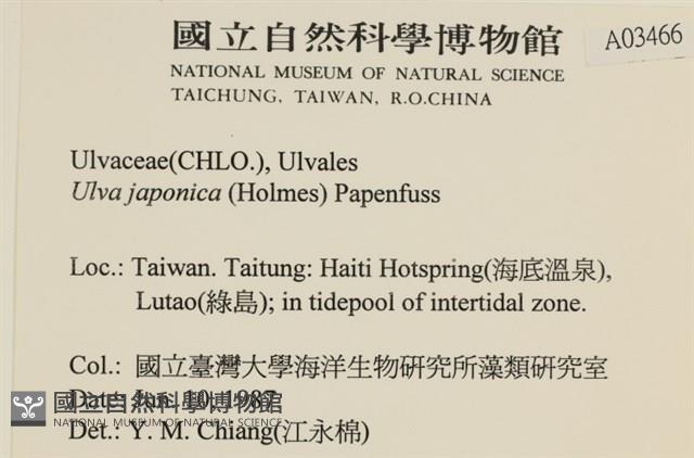 登錄號:A00003466藏品圖，第2張