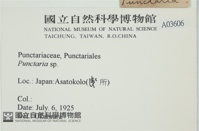 登錄號:A00003606藏品圖，第2張