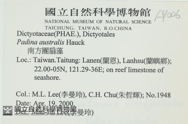 南方團扇藻藏品圖，第2張