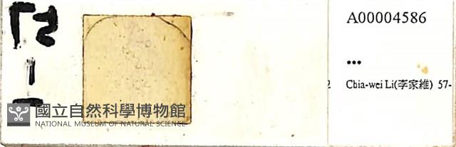 登錄號:A00004586藏品圖，第1張