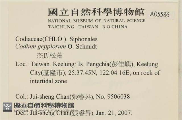 登錄號:A00005586藏品圖，第2張