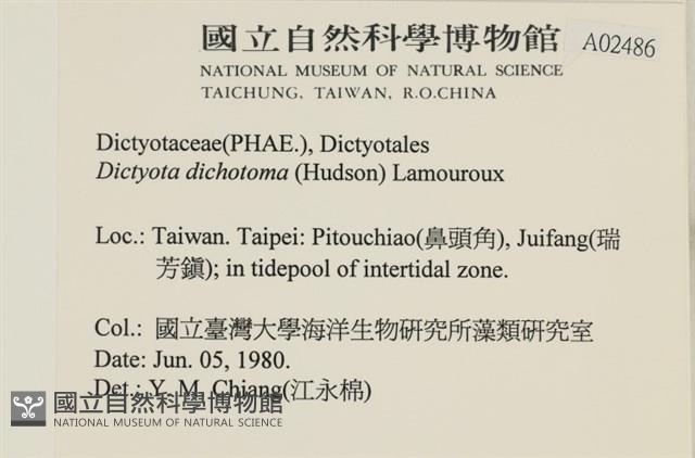 網目藻藏品圖，第2張