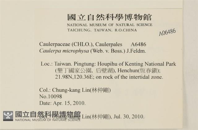 登錄號:A00006486藏品圖，第2張