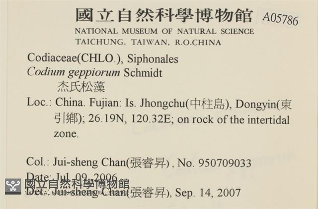 登錄號:A00005786藏品圖，第2張