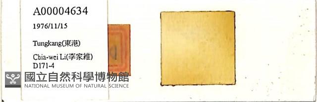 登錄號:A00004634藏品圖，第1張
