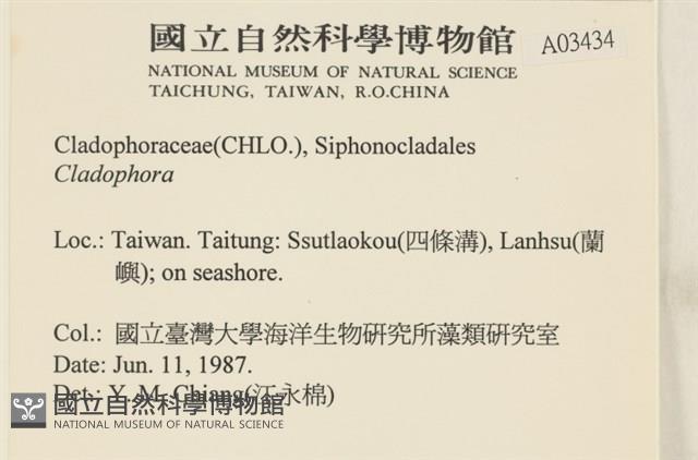 登錄號:A00003434藏品圖，第2張