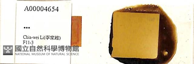 登錄號:A00004654藏品圖，第1張