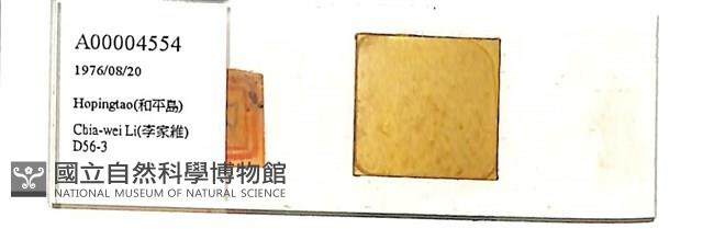 登錄號:A00004554藏品圖，第1張