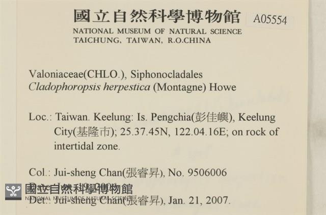 登錄號:A00005554藏品圖，第2張