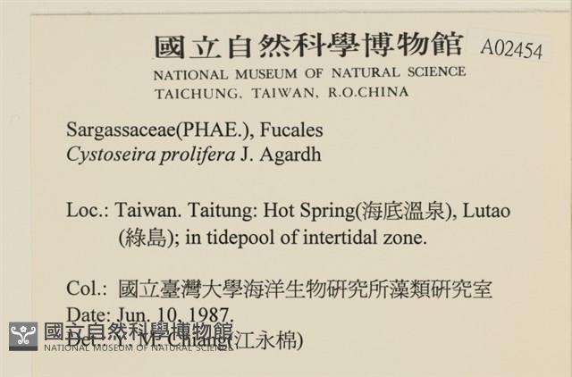登錄號:A00002454藏品圖，第2張
