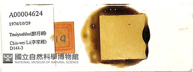 登錄號:A00004624藏品圖，第1張