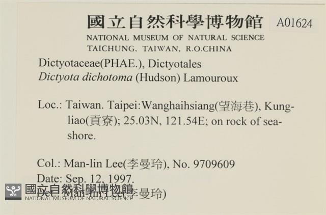 網目藻藏品圖，第2張