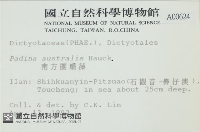 南方團扇藻藏品圖，第2張