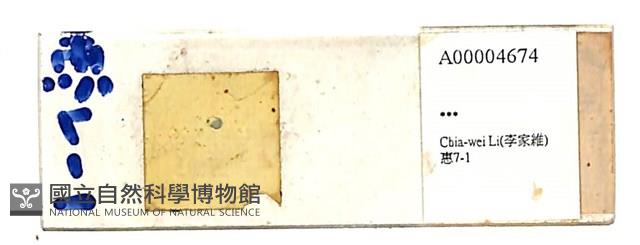 登錄號:A00004674藏品圖，第1張