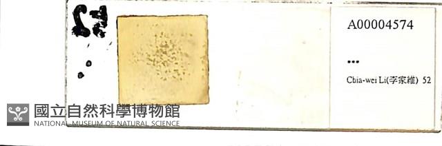 登錄號:A00004574藏品圖，第1張