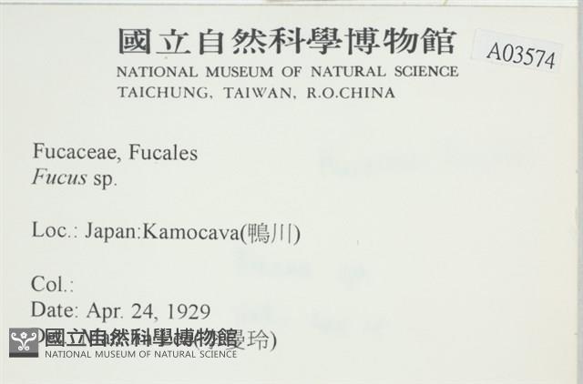 登錄號:A00003574藏品圖，第2張