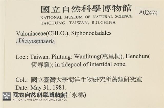 登錄號:A00002474藏品圖，第2張