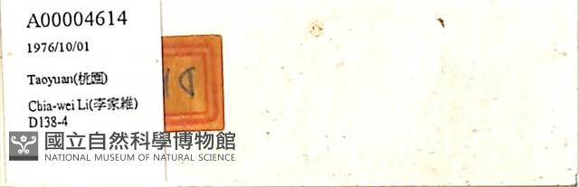 館號:A00004614藏品圖，第1張