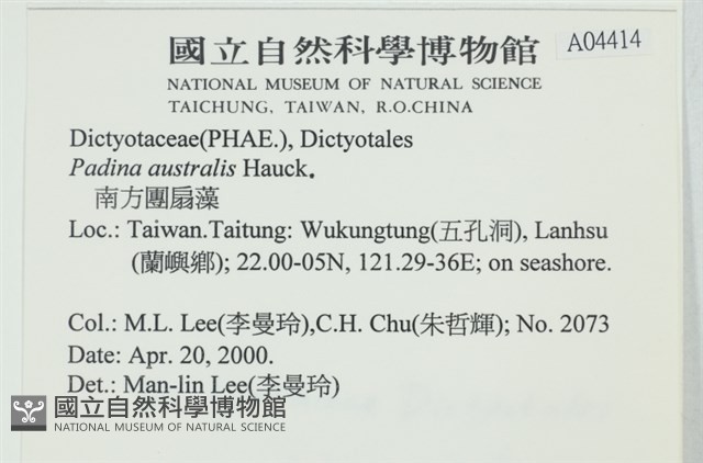 南方團扇藻藏品圖，第2張