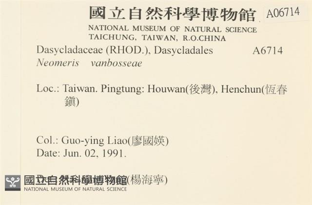 范氏蠕藻藏品圖，第2張