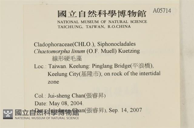登錄號:A00005714藏品圖，第2張