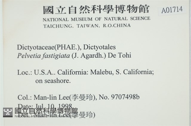 登錄號:A00001714藏品圖，第2張