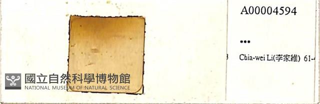登錄號:A00004594藏品圖，第1張
