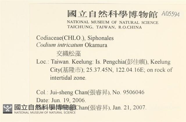 登錄號:A00005594藏品圖，第2張