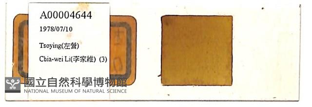 登錄號:A00004644藏品圖，第1張