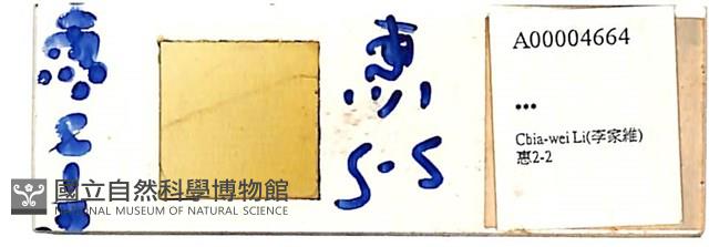 登錄號:A00004664藏品圖，第1張
