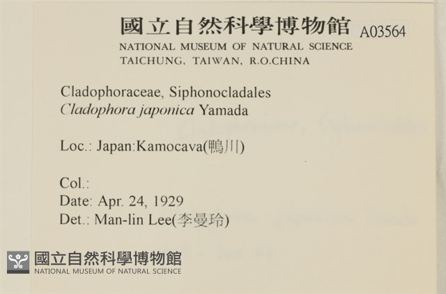 登錄號:A00003564藏品圖，第2張