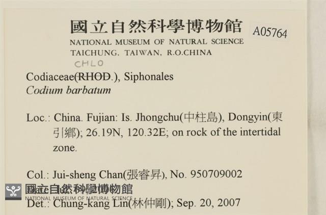 登錄號:A00005764藏品圖，第2張