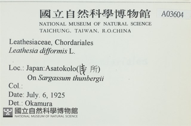 登錄號:A00003604藏品圖，第2張