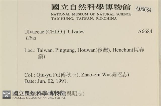 登錄號:A00006684藏品圖，第2張