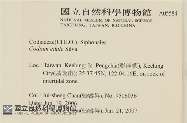 登錄號:A00005584藏品圖，第2張