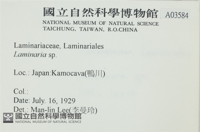 登錄號:A00003584藏品圖，第2張