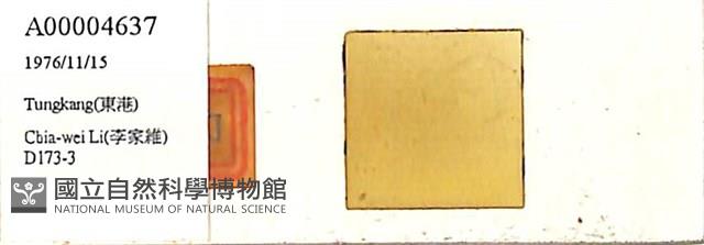 登錄號:A00004637藏品圖，第1張