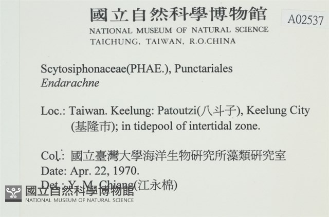 登錄號:A00002537藏品圖，第2張