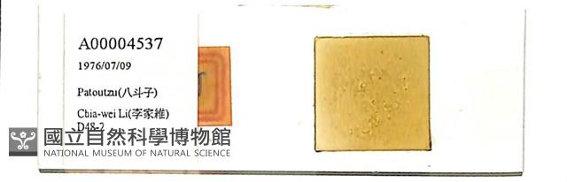 登錄號:A00004537藏品圖，第1張