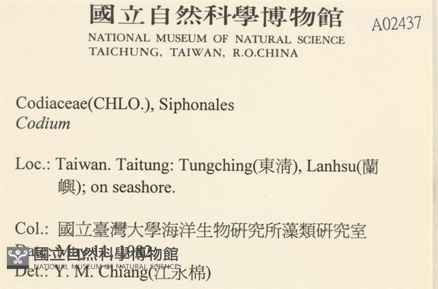 登錄號:A00002437藏品圖，第2張
